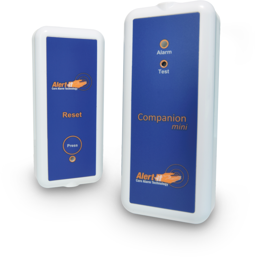 companion-mini-pro